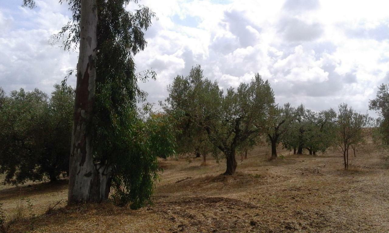 Poderi Di Tragliatella エクステリア 写真