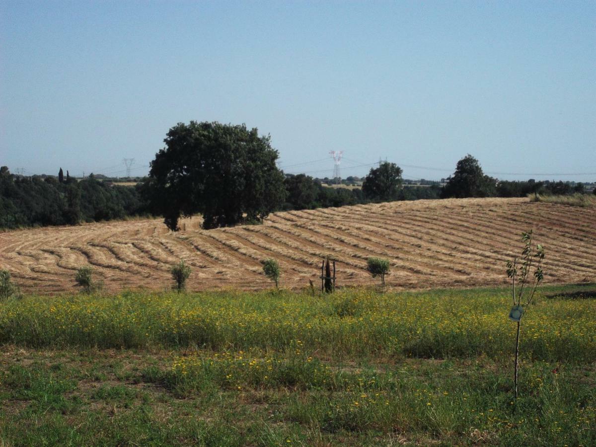 Poderi Di Tragliatella エクステリア 写真